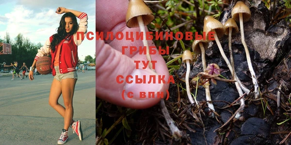 шишки Волоколамск