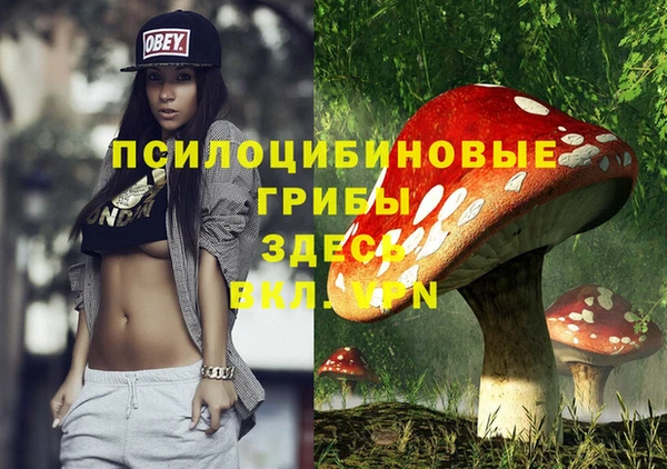 а пвп мука Верхний Тагил